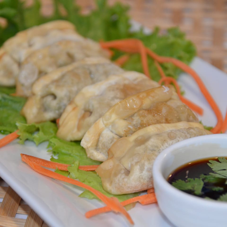 Steamed dumplings arranged on lettuce with shredded carrots and a bowl of dark dipping sauce garnished with cilantro.